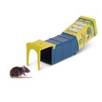 מלכודת נדנדה כחולה